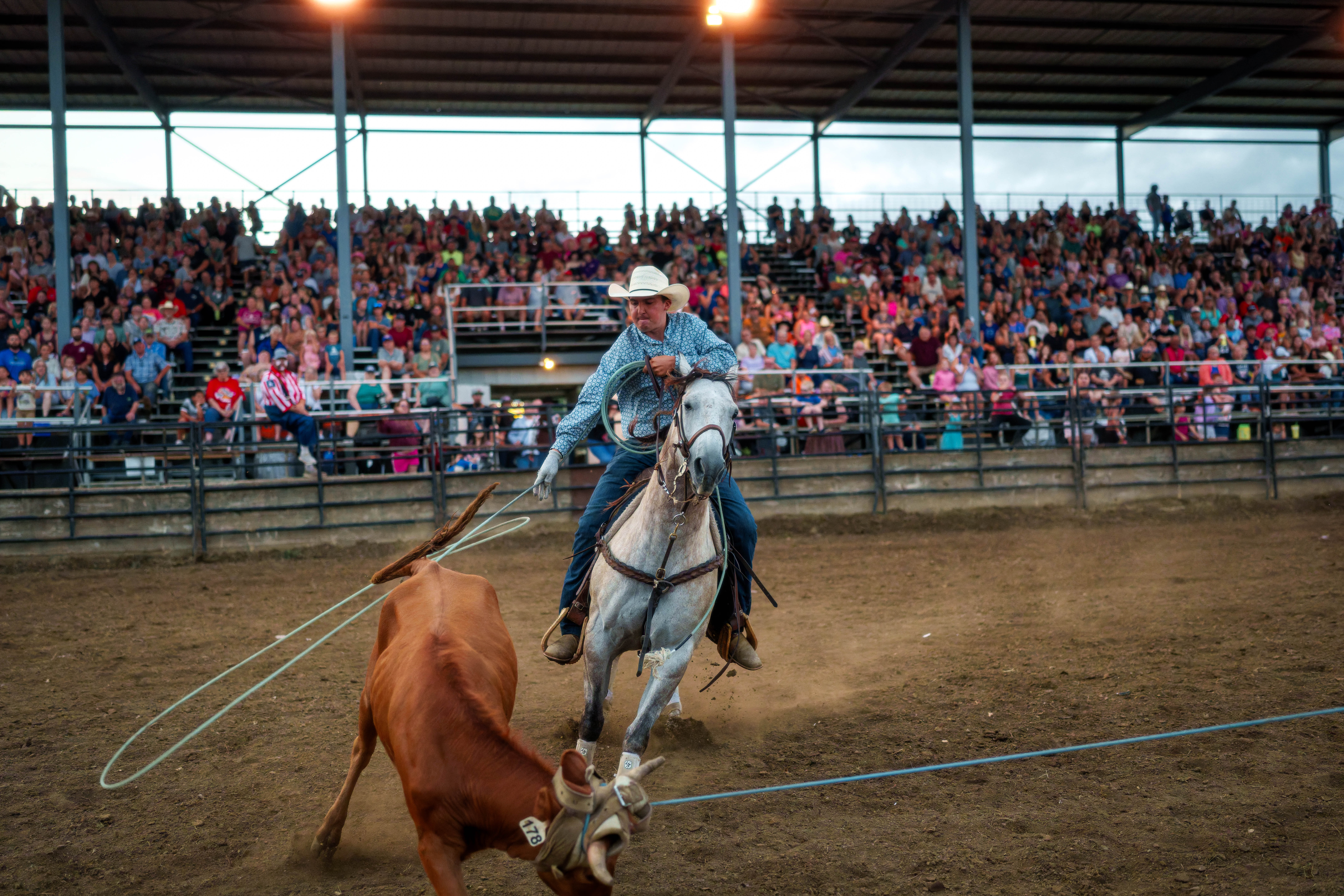 Bucking Bulls full rodeo at the Green County Fair in Monroe, Wisconsin on July 16th, 2025. Photography by Ross Harried for Second Crop Sports.